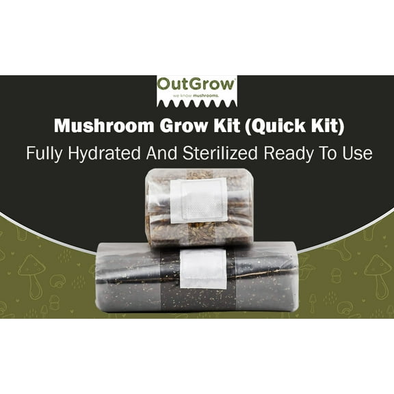 Mushroom Grow Kit (Quick Kit)