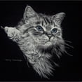 thumbnail image 3 of Harrison, Lesley 20x20 Black Modern Framed Museum Art Print Titled - Kitten II, 3 of 5
