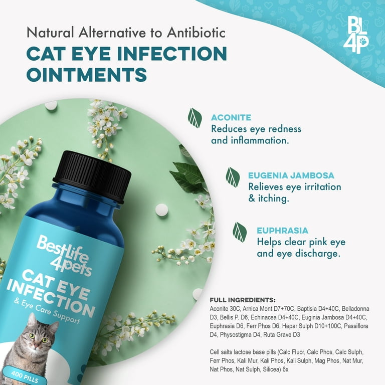 Conjunctivitis Antibiotic Eye Ointment For Cats Pink Eye Medication