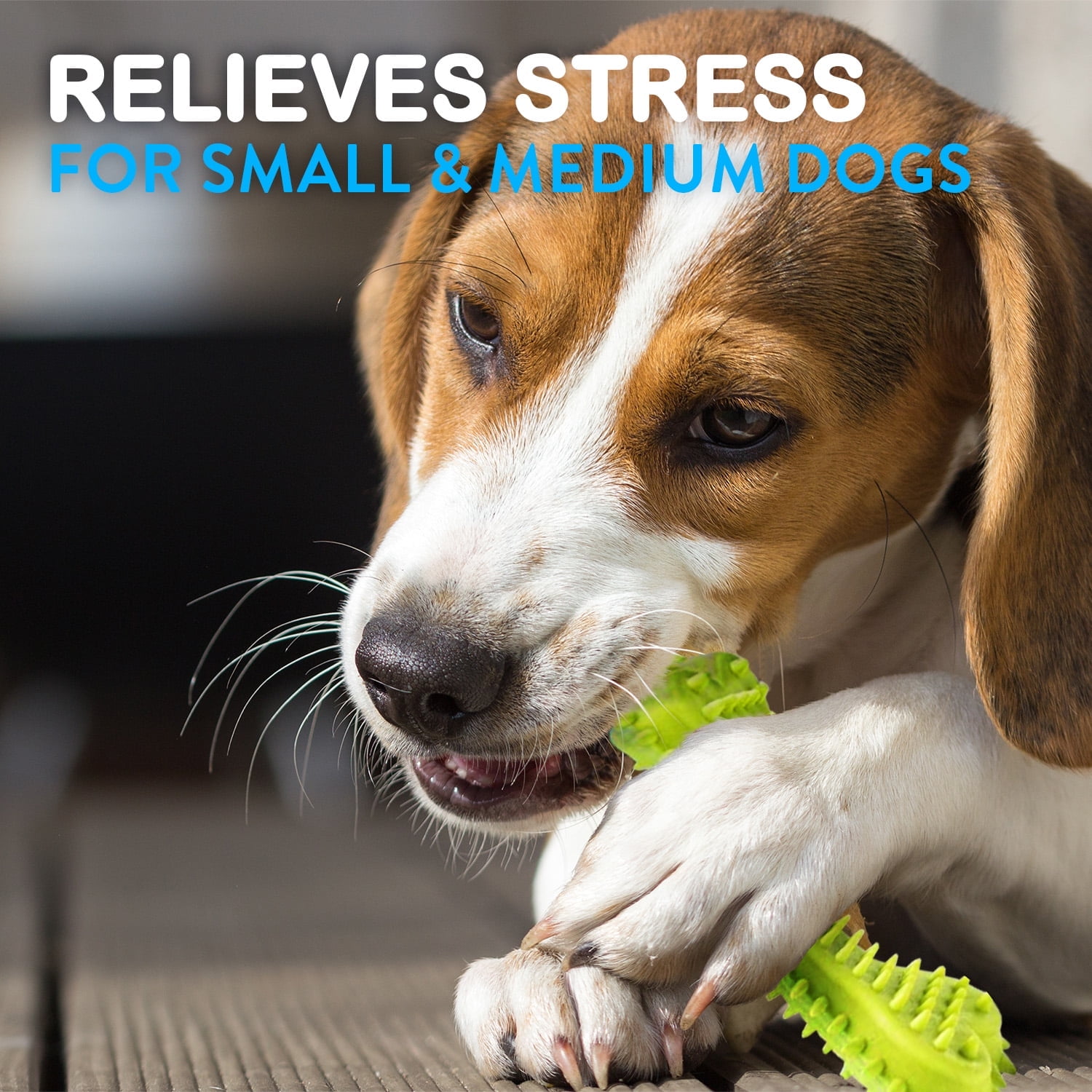 Dog Rope Toys for Small & Medium Dogs Dog Toy Pack of 11 Puppy Teething Toys