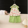 thumbnail image 2 of Soepste Toddler Outfits For Girls Girls 4T Outfits Toddler Girls Summer Outfit Top And Shorts Clothing Set, 2 of 7