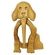 thumbnail image 5 of Ounissouiy Broche de Abrigo Chal Broche Bufanda Collar Hebilla Sujetador Ceremonia de boda Cumpleaños Banquete Pin Joyería Vacaciones Type4 NO4, 5 of 6