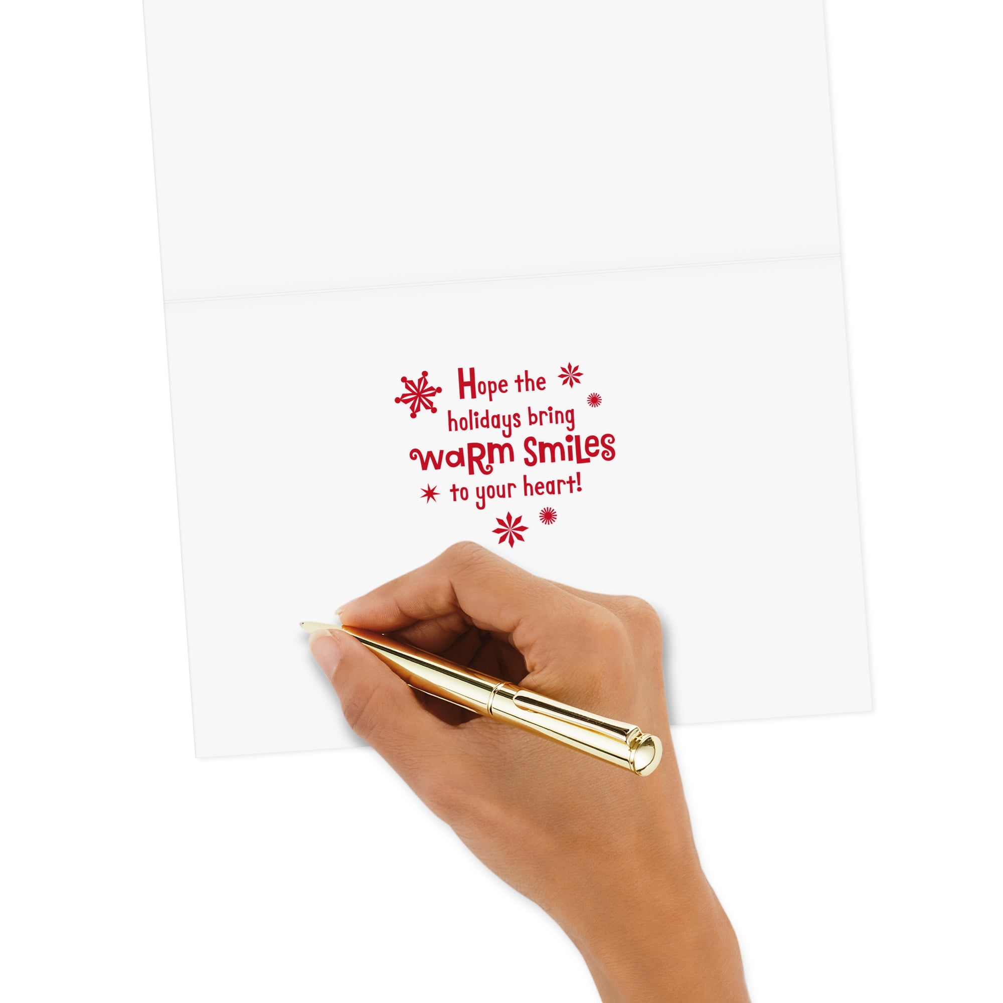 Hallmark Christmas Card (Warm Smiles Puppy Dog in Santa Hat)