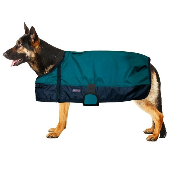 Small Hilason 200 gsm 600D Winter Turnout Waterproof Dog Blanket Hunter Green