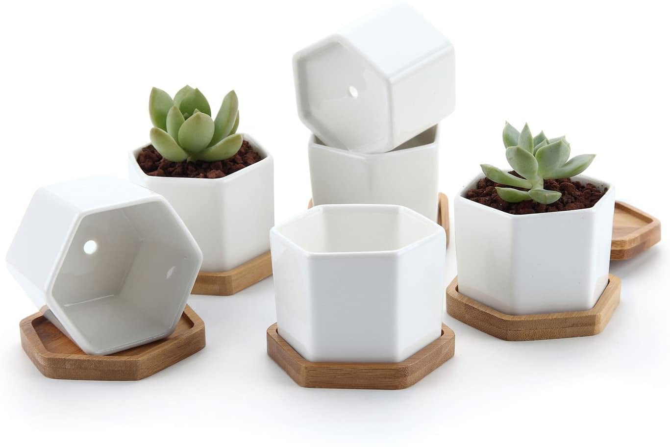 T4U 7cm Ceramic White Collection NO.31 Succulent Plant Pot//Cactus Plant Pot Flower Pot//Container//Planter with Bamboo Trays Package 1 Pack of 3