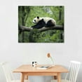 thumbnail image 2 of Nawypu  Cute Panda Canvas Wall art: Wall Decor Animals Themed for Kids' Bedroom Nursury Poster Bathroom Wall Prints, 2 of 4
