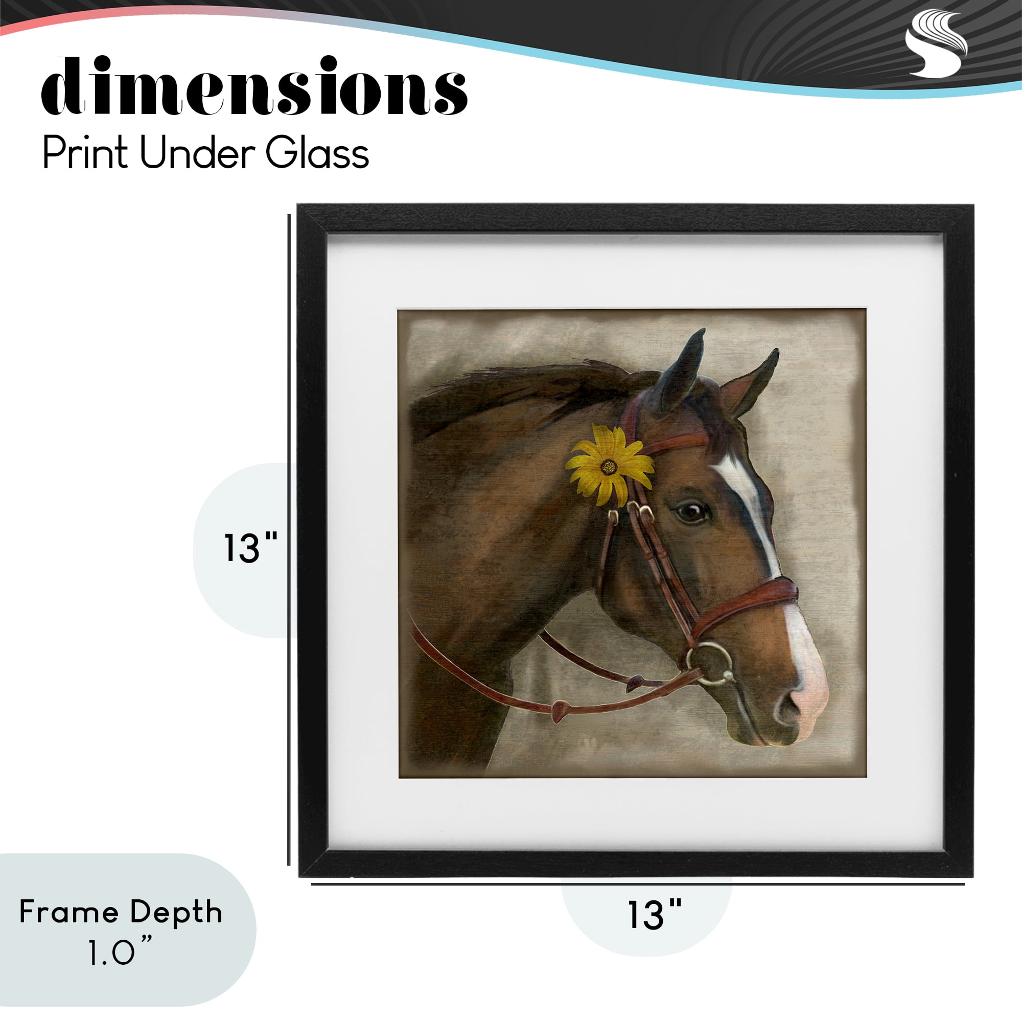 Stupell Industries Barnyard Horse with Daisy Black Framed Print Under Glass, design by Suzanne Nicoll