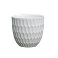 thumbnail image 1 of Pot alvéolé de 17,8 cm, 1 of 2