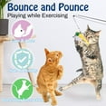 thumbnail image 3 of Pawaboo Cat Feather Toys, 4 Pack Interactive Cat feather Teaser Wand Toys, Retractable Fishing Pole Wand Catcher Exerciser with Refill Fish, Dragonfly Worm with Bells, Fun Cat Kitty Playing Toy, 3 of 7