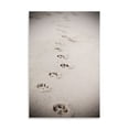 thumbnail image 2 of Gango Home Decor Contemporary Paw Prints In Sand by Karyn Millet (Printed on Paper); One 16x24in Fine Art Paper Giclee Print, 2 of 4