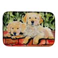 thumbnail image 1 of Carolines Treasures SS8908DDM Golden Retriever Dish Drying Mat, 1 of 1