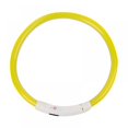 thumbnail image 1 of AMERTEER USB Rechargeable LED Dog Collar Glowing pet Dog Collar for Night Safety  Water Resistant Cuttable TPU Light Up Collars Fashion Light up Collar for Small Medium Large Dogs, 1 of 11