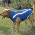 thumbnail image 3 of Windproof Waterproof Dog Jacket, Reflective Winter Dog Jacket With Zipper Closure, Pet Cold Weather Warm Jacket, Dog Apparel Clothes For Medium, 3 of 5