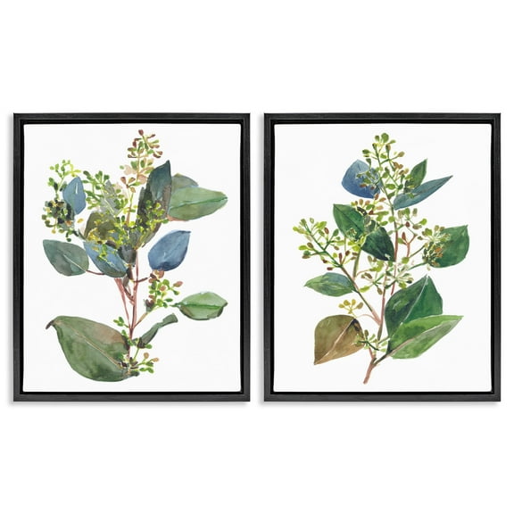 Stupell Industries Soft Eucalyptus Plant Ombre Leaves Botanical & Floral Painting Black Floater Framed Canvas Art Print Wall Art, 17 x 21, Set of 2