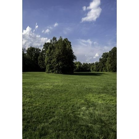 MOHome Polyster Backdrop 5x7ft Photography Background Blue Sky White Clouds Vast Green Grassland Trees Natural Scenery Camera Photo Shooting Background Backdrop Photo Studio
