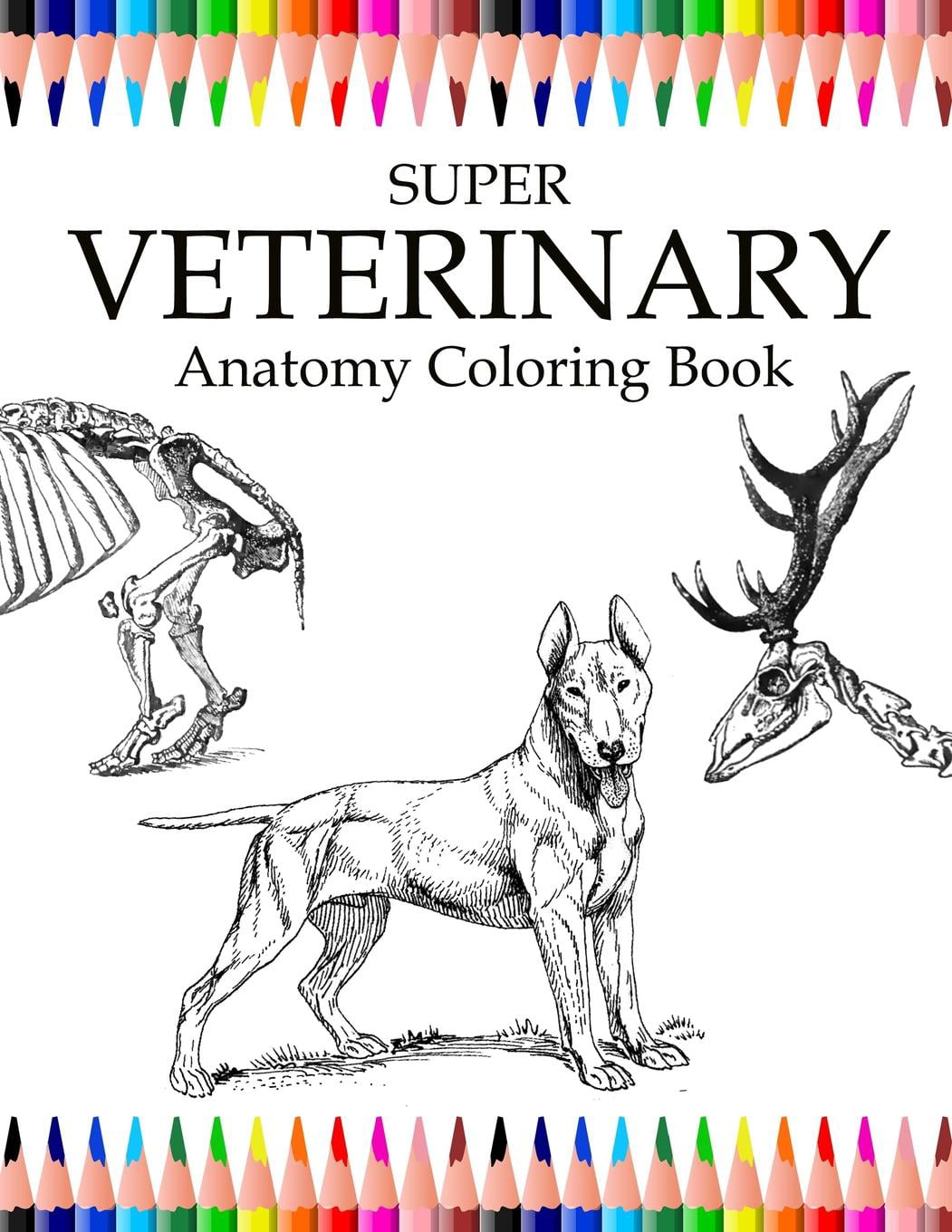 Super Veterinary Anatomy Coloring Book  Animals for Relax, Large 20.20x20 to  Color, Design for Students