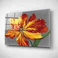 thumbnail image 2 of Epic Art 'Tulip Portrait I' by Tim O'Toole, Acrylic Glass Wall Art, 16"x12", 2 of 3