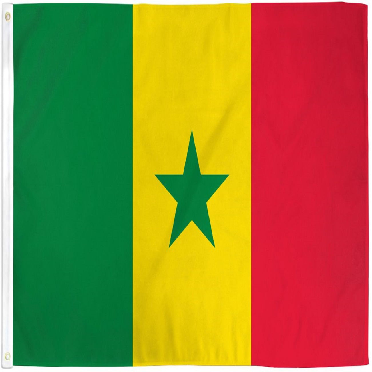 3x5 Senegal Flag African Country Banner Republic Pennant 