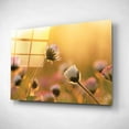 thumbnail image 2 of Epic Art 'Daisies' by Martin Podt, Acrylic Glass Wall Art, 24"x16", 2 of 3
