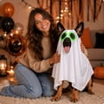 thumbnail image 7 of Roiihwy Halloween Dog Costumes, Ghost Cute Party Halloween Costumes Trick or Treat Party Cosplay White Ghost Costume for Dog Cat, 7 of 7