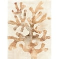 thumbnail image 2 of Vess, June Erica 19x24 White Modern Wood Framed Museum Art Print Titled - Parchment Coral I, 2 of 4
