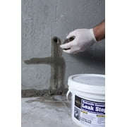 Sakrete Leak Stopper Hydraulic Cement