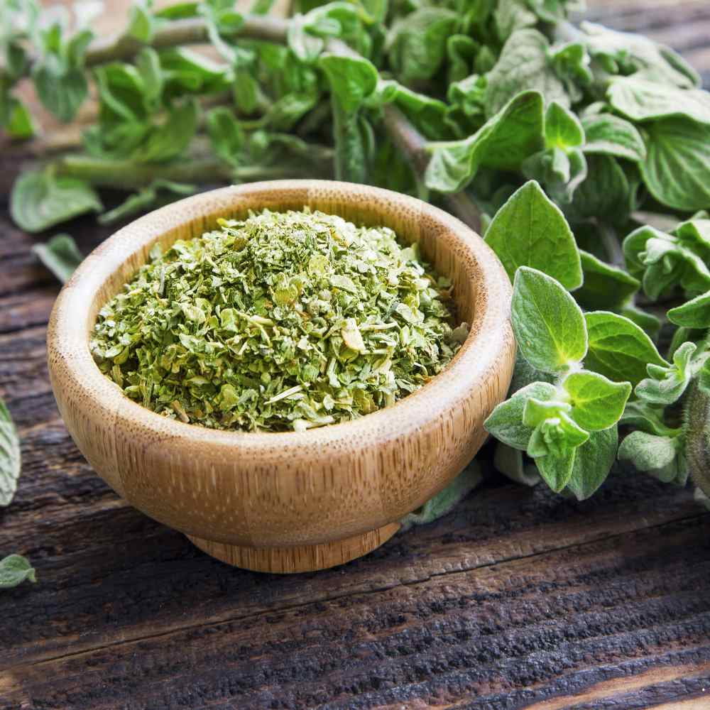 Oregano Seed - Origanum Vulgare Herb Plant Seeds - 1/4 LB