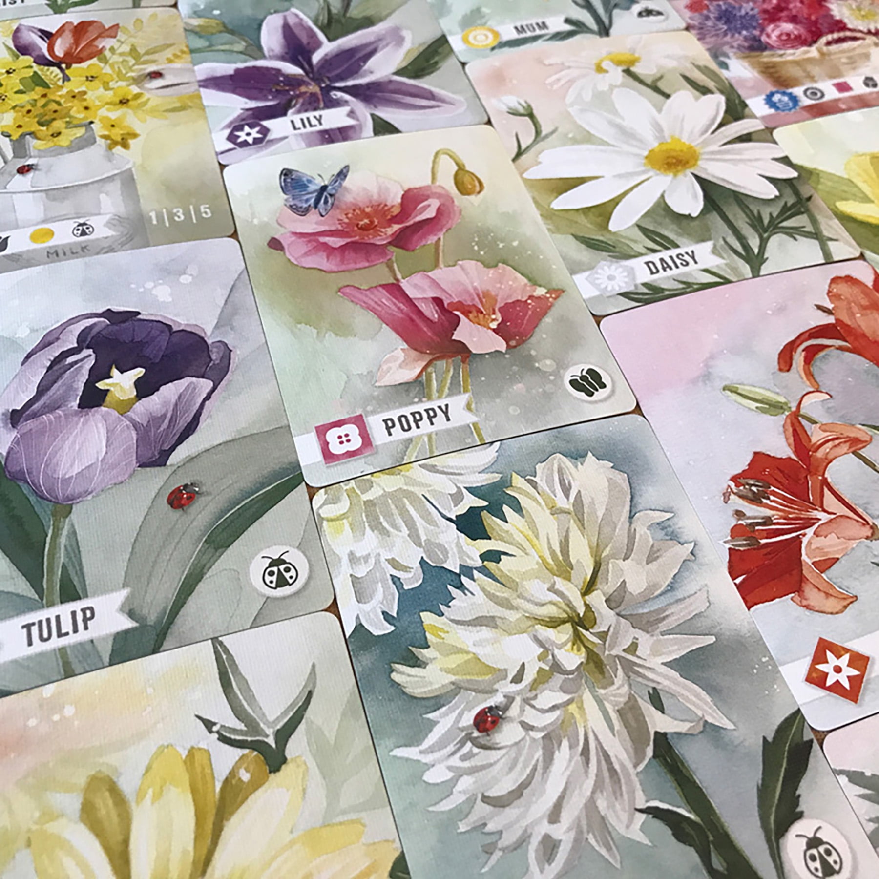 &nbsp;Floriferous - Relaxing Nature Card Game, 1-4 Players, 20 Min Game Play