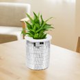 thumbnail image 5 of HEMOTON  Plant Nursery Accessory Disco Planter Makeup Holder Holders for Cosmetics, 5 of 8