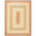thumbnail image 2 of SAFAVIEH Braided Cirino Colorful Bordered Area Rug, Rust/Multi, 9' x 12', 2 of 10