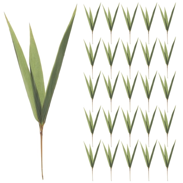 BRIGHTFUFU 1 bolsa de hojas de sushi, decoraciones japonesas para cupcakes, decoración de plato de sashimi, simulación de hojas de sushi, hojas falsas, decoración de plato de sushi