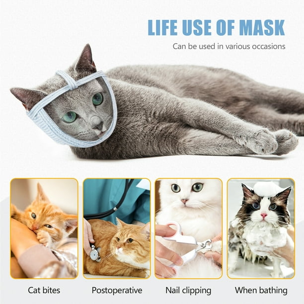 Cat claw covers walmart 2025