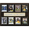 thumbnail image 1 of Placa C&I Collectables Michigan Wolverines 30x38 cm, 1 of 1