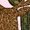 Beige, variant on Hunting Season Embroidery File Deer Antlers Camouflage Bow Hunting Embroidery Pattern Outdoor Wildlife Stitch Design Digital File