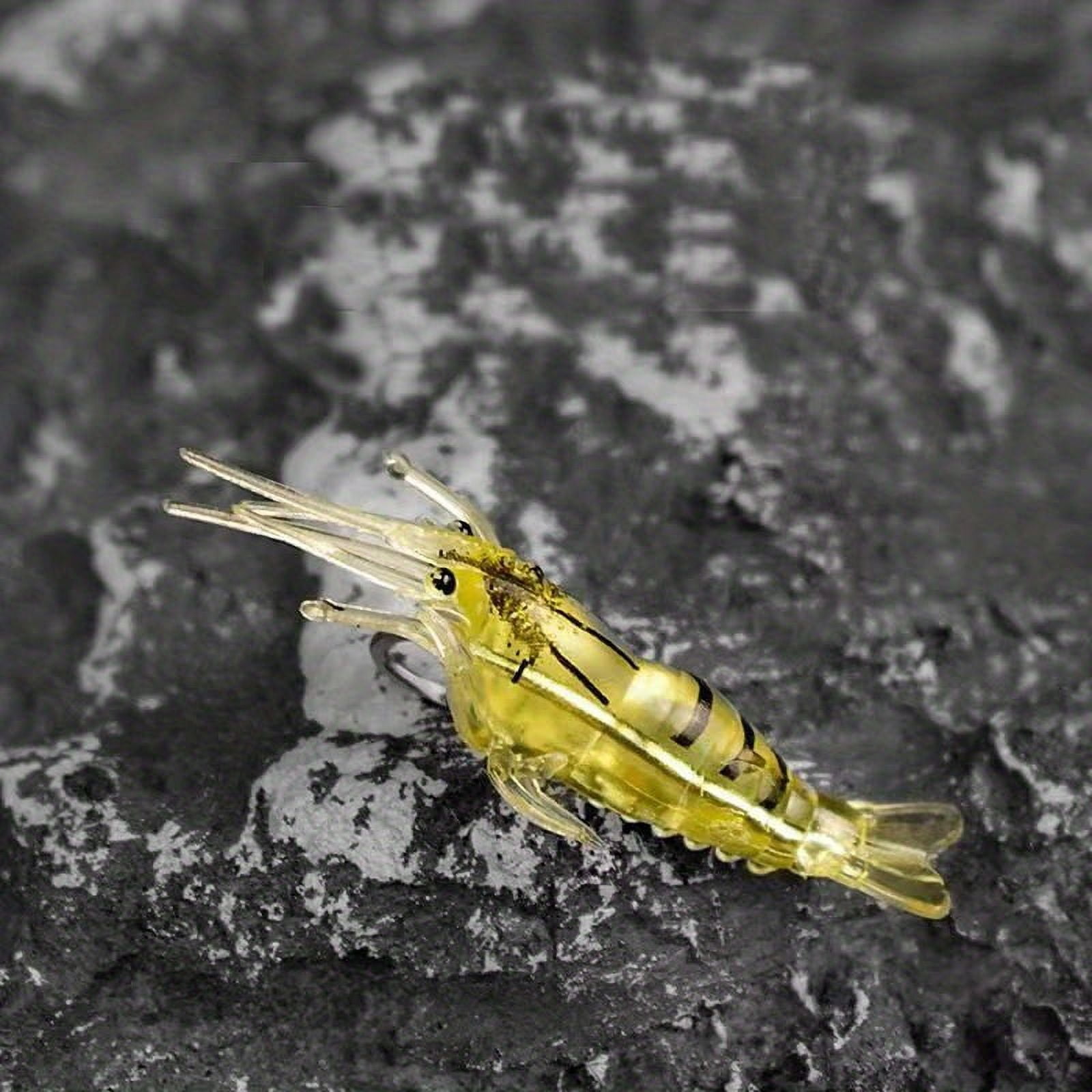 5PC Glow In The Dark Shrimp Fishing Lure: Lightweight & Easy To Use - Perfect For Beginners
