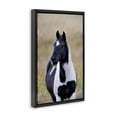 thumbnail image 4 of Stupell Industries Black & White Foal Animals & Insects Photography Black Floater Framed Canvas Art Print Wall Art, 17 x 25, 4 of 10