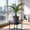 Breathable Rhizome Pruning Planter Under $5 a2, variant on Usloyux Thickened Plastic Flowerpot Rhizome Pruning Breathable Design Round Planter for Houseplants, Root Control Plants Containers Root Rot Water Stagnation, Indoor Outdoor Patio Balcony Garden