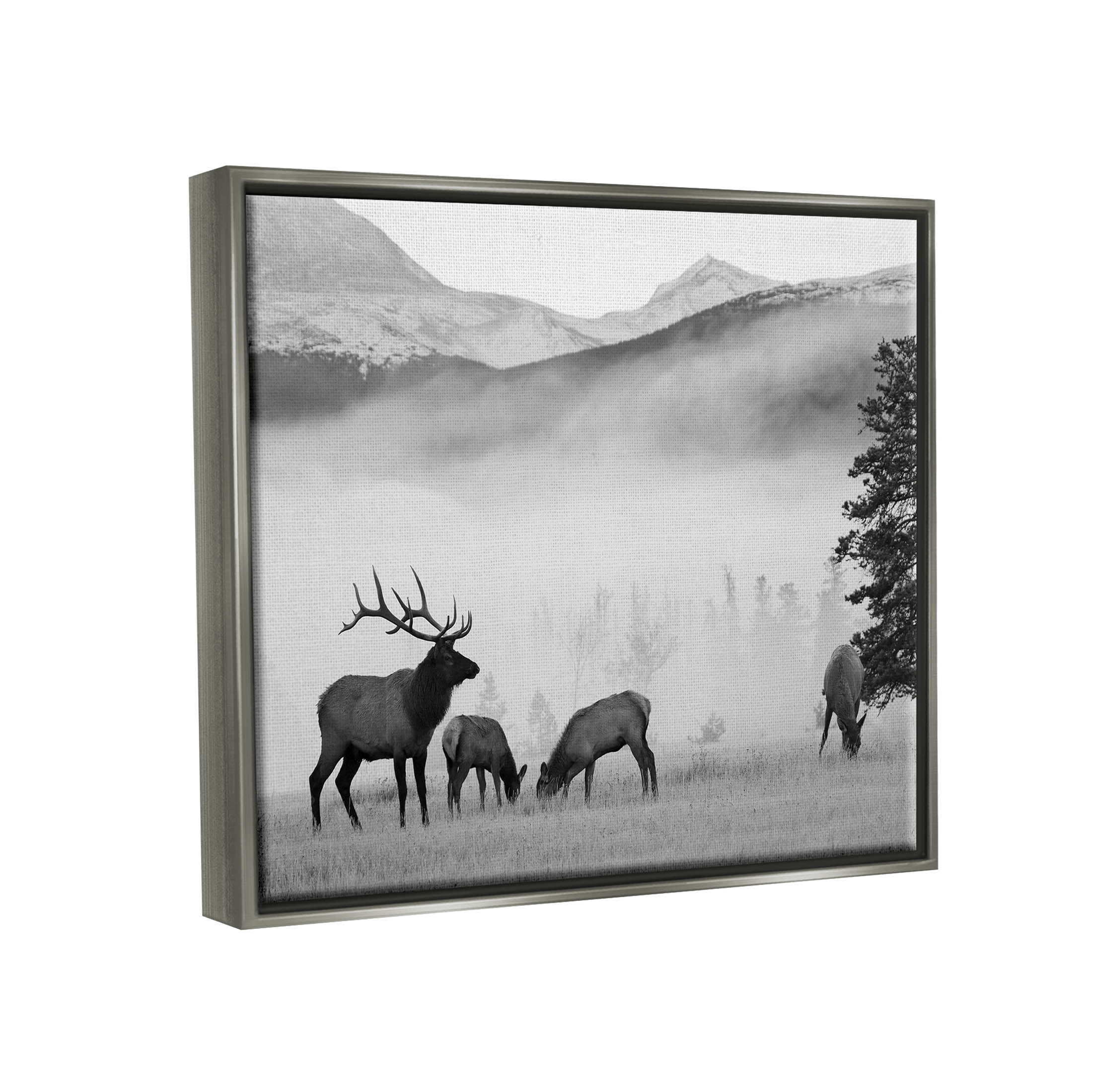 Stupell Industries Foggy Rural Deer Grazing Photograph Luster Gray Floating Framed Canvas Print Wall Art, Design by Danita Delimont