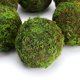 thumbnail image 5 of piezas por paquete (9 cm) bola de musgo bola de hierba de musgo bola de flores secas, 5 of 5