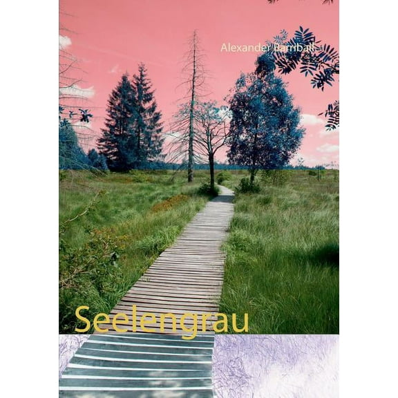 Seelengrau (Paperback)