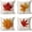 A, variant on Halloween Decorations Pillow Covers 20x20 Set of 4 Halloween Decor Hocus Pocus Farmhouse Saying Fall Decor Pillows for Home Sofa Couch