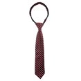 thumbnail image 1 of Spring Notion Boys' Pre-tied Woven Zipper Tie Medium Burgundy Diamonds, 1 of 4