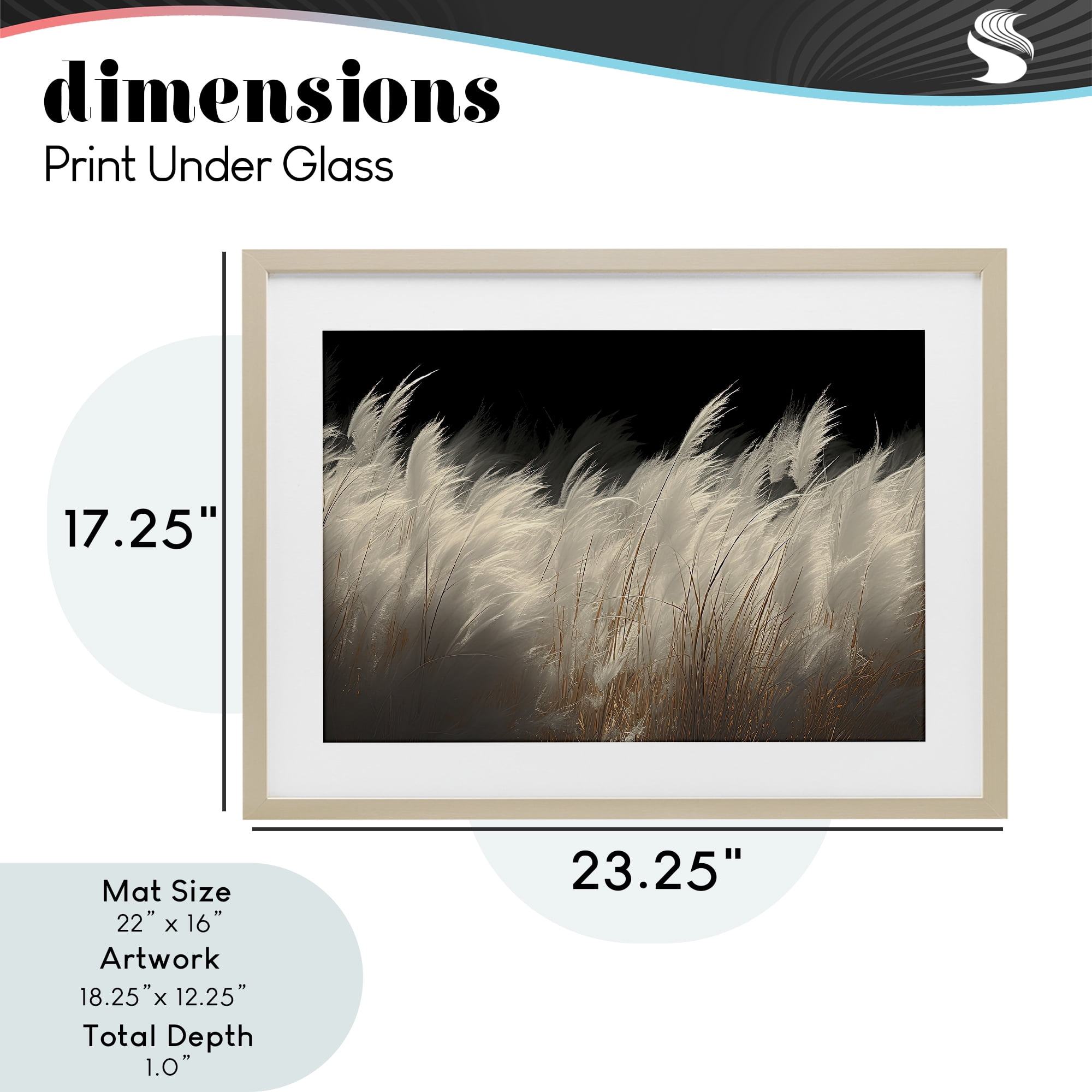 White Feathers Windblown Grasses Birch Framed Print Under Glass, design by Decent Exposures