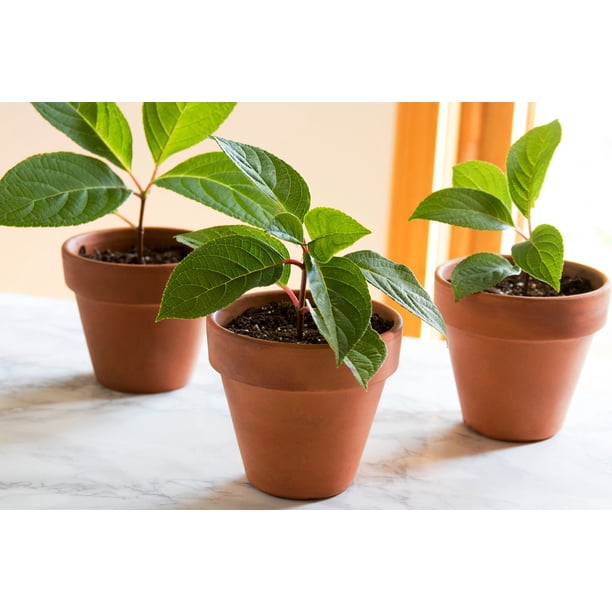 extra large terracotta planters Large Terracotta Planter orange garden decor outdoor handmade ceramic