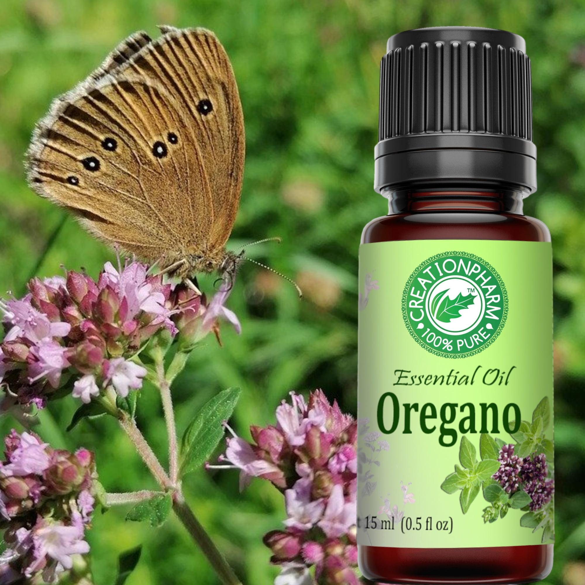 100% Pure Oregano Essential Oil 15ml (.5 oz) Therapeutic Aromatherapy Grade  for Blending and Diffusers by Creation Pharm