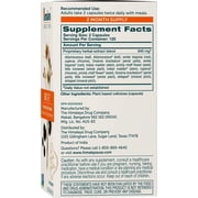 Himalaya UriCare Herbal Supplement ، دعم الكلى والمثانة ، خالي من الغلوتين ، نباتي ، 240 كبسولة