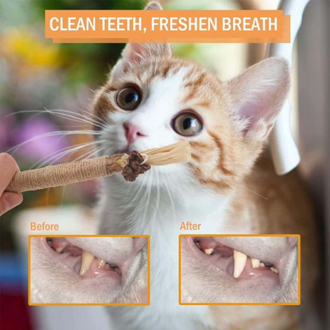 Silvervine Sticks for Cats, Natural Silvervine Dental Sticks, Natural Silvervines Stick Cat Chew Toy for Bored Indoor Kitty, Promote Dental Health, Engage & Entertain (2PCS,4CM-A)