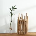 thumbnail image 5 of Jarrón de madera redondo nórdico para decoración Terrario de plantas hecho a mano Mesa Jarrón transparente Contenedores de vidrio, 5 of 5