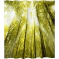 thumbnail image 4 of Sunshine Birch Forest Shower Curtain Nature Jungle Landscape Shower Curtains for Bathroom Decor, Waterproof Polyester Fabric Shower Curtain 72x72 Inch with 12 Hooks, 4 of 6