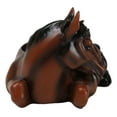 thumbnail image 3 of Rustic Western Brown Chestnut Horse Coaster Holder with Horseshoe Coasters Set, 3 of 9